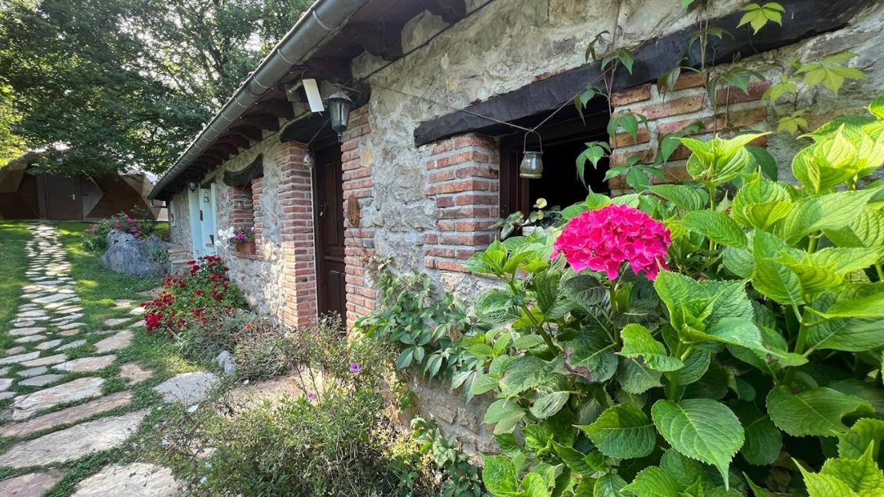 佩尼亚卡瓦尔加冬青民宿 Sobremazas 外观 照片